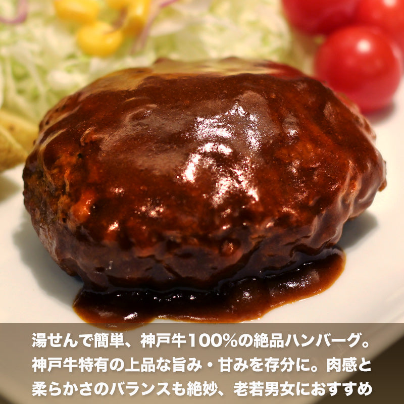神戸牛ハンバーグ デミソース仕立て